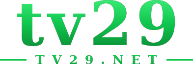 tv29 logo